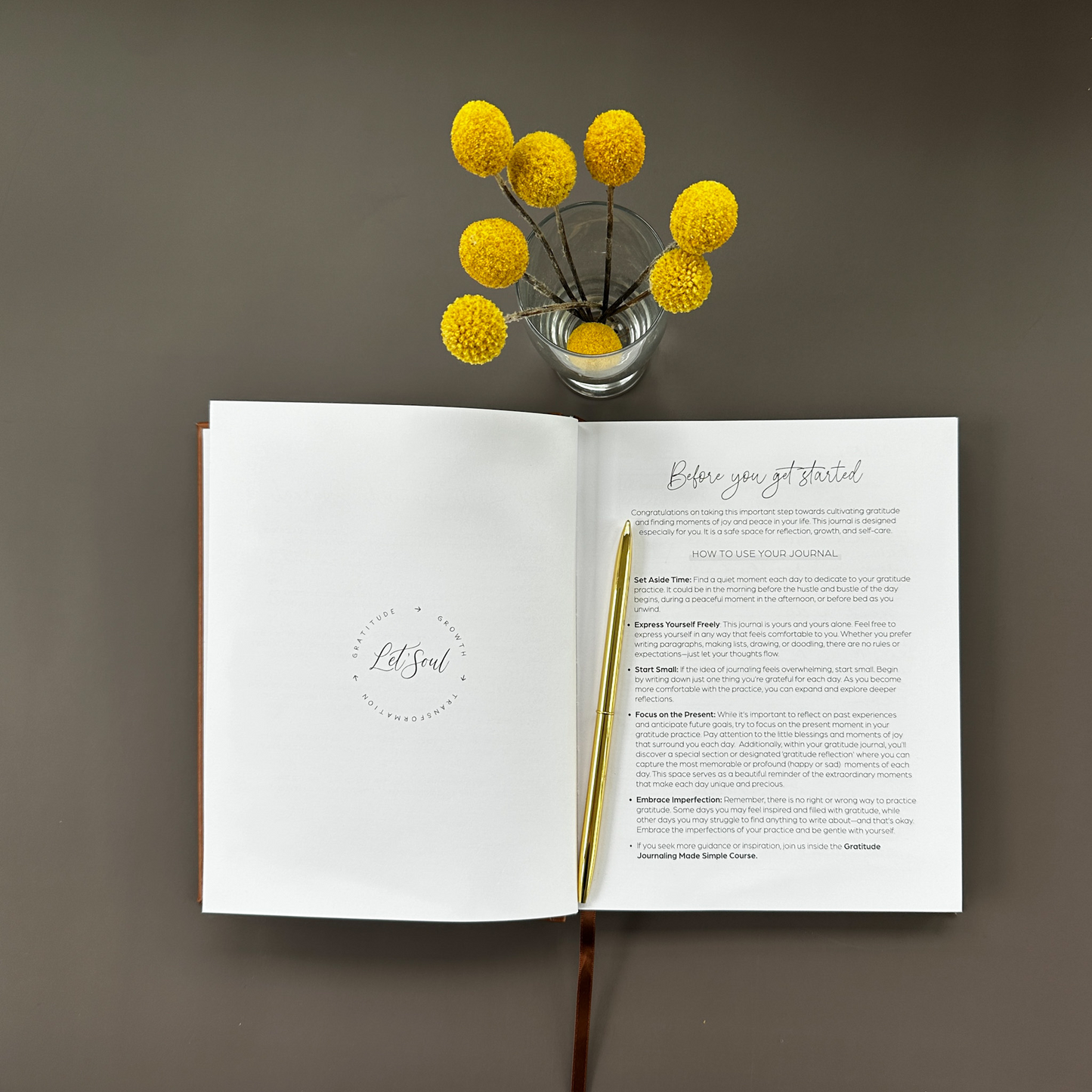 Let'Soul Gratitude Journal